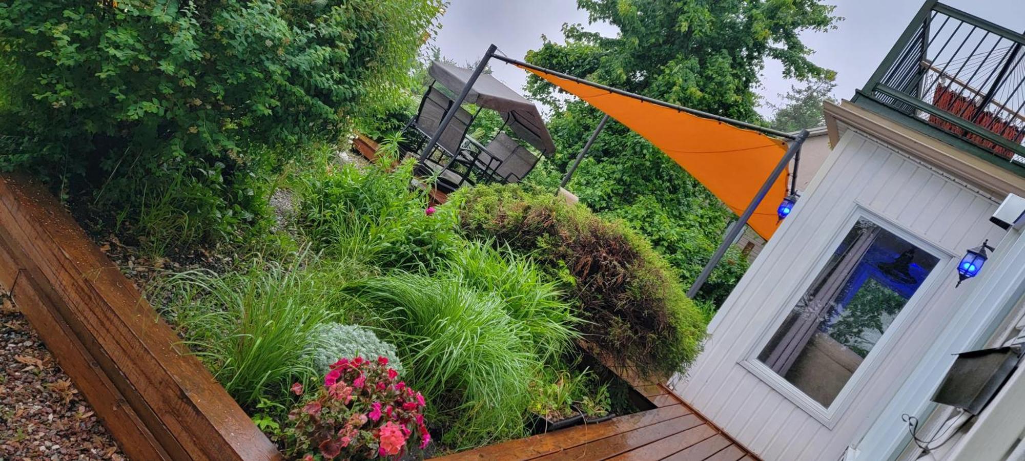Kokomo Inn Bed And Breakfast Ottawa-Gatineau'S Only Tropical Riverfront B&B On The National Capital Cycling Pathway Route Verte #1 - For Adults Only - Chambre D'Hotes Tropical Aux Berges Des Outaouais Bnb #17542O Kültér fotó